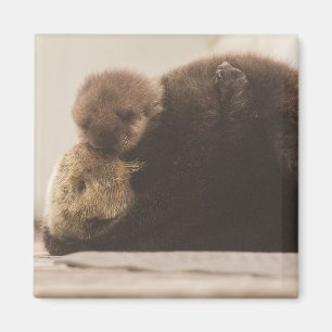 Kutest Baby Animals   Pasgeboren otterpop Magneet
