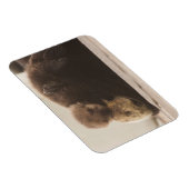 Kutest Baby Animals | Pasgeboren otterpop Magneet (Rechterzijde)