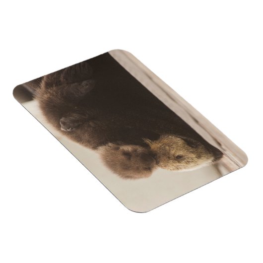 Kutest Baby Animals | Pasgeboren otterpop Magneet (Rechterzijde)