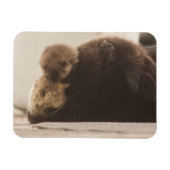 Kutest Baby Animals | Pasgeboren otterpop Magneet (Horizontaal)