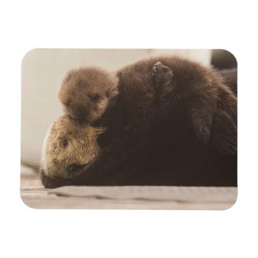 Kutest Baby Animals | Pasgeboren otterpop Magneet (Horizontaal)