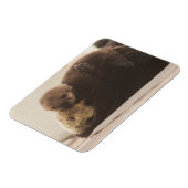 Kutest Baby Animals | Pasgeboren otterpop Magneet (Linkerzijde)