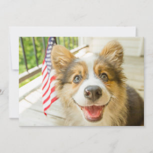 Kutest Baby Animals   Patriotic Corgi Puppy Bedankkaart