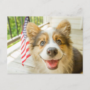 Kutest Baby Animals   Patriotic Corgi Puppy Briefkaart