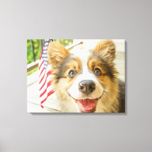 Kutest Baby Animals | Patriotic Corgi Puppy Canvas Afdruk (Voorkant)
