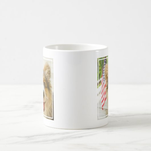 Kutest Baby Animals | Patriotic Corgi Puppy Koffiemok (Center)