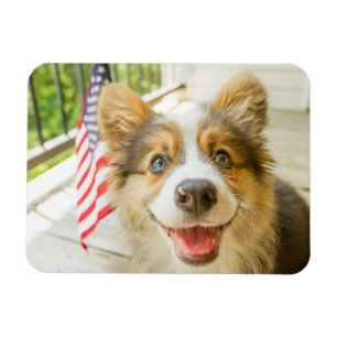 Kutest Baby Animals Patriotic Corgi Puppy Magneet