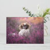 Kutest Baby Animals | Pekingese Puppy Bedankkaart (Staand voorkant)