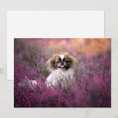 Kutest Baby Animals | Pekingese Puppy Bedankkaart (Voorkant / Achterkant)