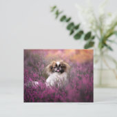 Kutest Baby Animals | Pekingese Puppy Briefkaart (Staand voorkant)