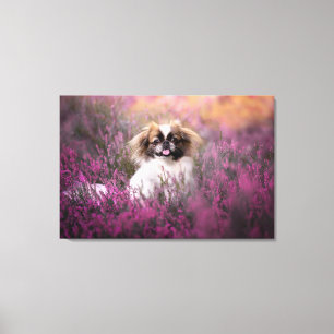 Kutest Baby Animals   Pekingese Puppy Canvas Afdruk
