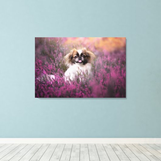 Kutest Baby Animals | Pekingese Puppy Canvas Afdruk (Insitu (Houten vloer))