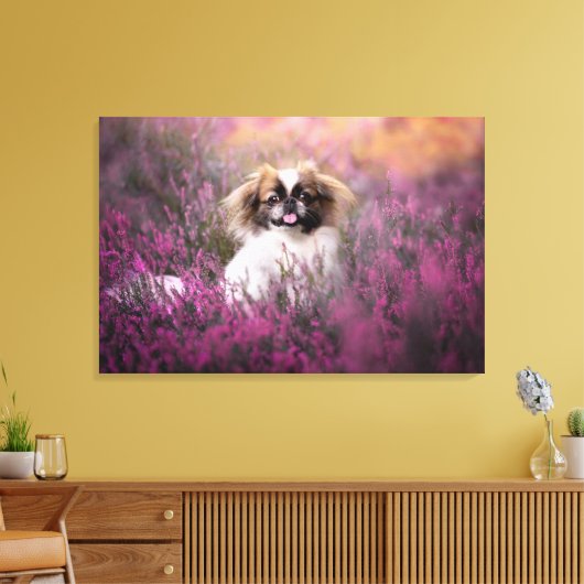 Kutest Baby Animals | Pekingese Puppy Canvas Afdruk (Insitu (Woonkamer))