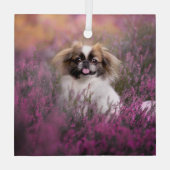 Kutest Baby Animals | Pekingese Puppy Glas Ornament (Achterkant)