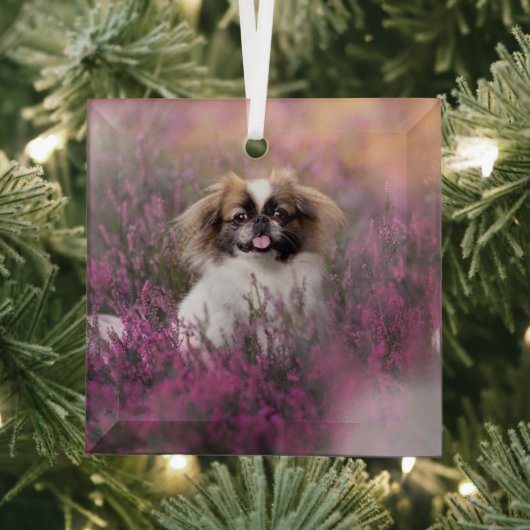 Kutest Baby Animals | Pekingese Puppy Glas Ornament (Insitu)