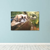 Kutest Baby Animals | Pekingese puppy in auto Canvas Afdruk (Insitu (Houten vloer))