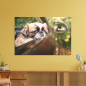 Kutest Baby Animals | Pekingese puppy in auto Canvas Afdruk (Insitu (Woonkamer))