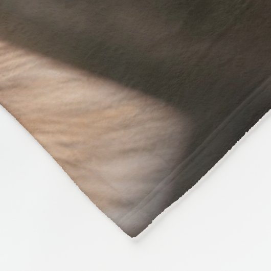 Kutest Baby Animals | Pekingese puppy in auto Fleece Deken (Hoek)