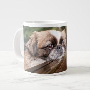 Kutest Baby Animals   Pekingese puppy in auto Grote Koffiekop