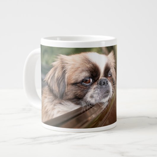 Kutest Baby Animals | Pekingese puppy in auto Grote Koffiekop (Links)