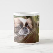 Kutest Baby Animals | Pekingese puppy in auto Grote Koffiekop (Voorkant)