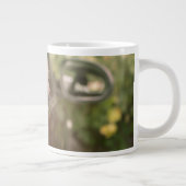 Kutest Baby Animals | Pekingese puppy in auto Grote Koffiekop (Rechts)