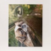 Kutest Baby Animals | Pekingese puppy in auto Legpuzzel (Verticaal)