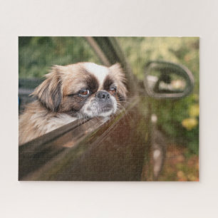 Kutest Baby Animals   Pekingese puppy in auto Legpuzzel
