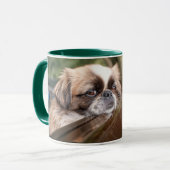 Kutest Baby Animals | Pekingese puppy in auto Mok (Voorkant links)