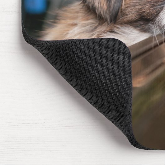 Kutest Baby Animals | Pekingese puppy in auto Muismat (Hoek)