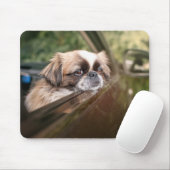Kutest Baby Animals | Pekingese puppy in auto Muismat (Met muis)