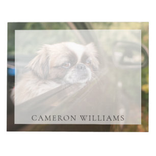 Kutest Baby Animals   Pekingese puppy in auto Notitieblok