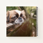 Kutest Baby Animals | Pekingese puppy in auto Notitieboek (Achterkant)