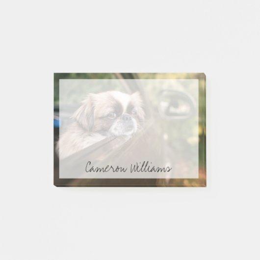 Kutest Baby Animals | Pekingese puppy in auto Post-it® Notes (Voorkant)
