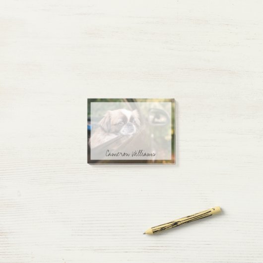 Kutest Baby Animals | Pekingese puppy in auto Post-it® Notes (Op bureau)
