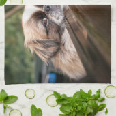 Kutest Baby Animals | Pekingese puppy in auto Theedoek (Gevouwen)