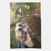 Kutest Baby Animals | Pekingese puppy in auto Theedoek (Verticaal)