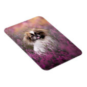 Kutest Baby Animals | Pekingese Puppy Magneet (Rechterzijde)