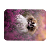 Kutest Baby Animals | Pekingese Puppy Magneet (Horizontaal)