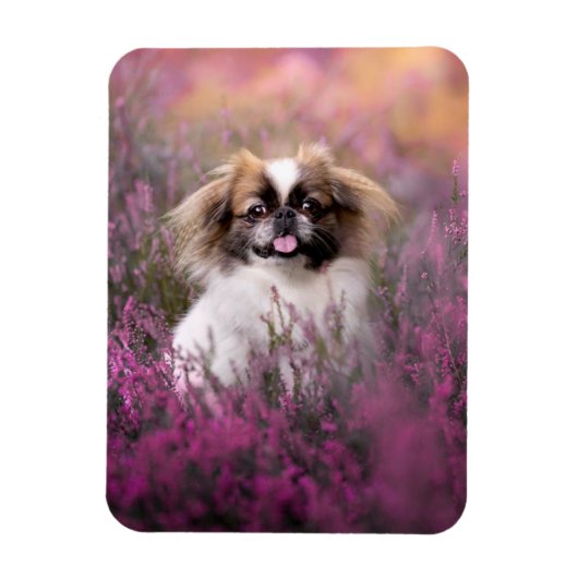 Kutest Baby Animals | Pekingese Puppy Magneet (Verticaal)