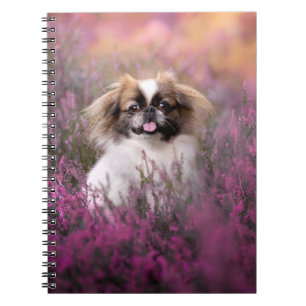 Kutest Baby Animals Pekingese Puppy Notitieboek