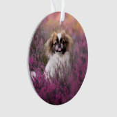 Kutest Baby Animals | Pekingese Puppy Ornament (voorkant)