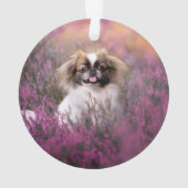 Kutest Baby Animals | Pekingese Puppy Ornament (achterkant)