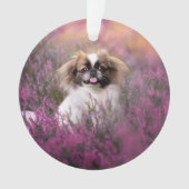 Kutest Baby Animals | Pekingese Puppy Ornament (voorkant)
