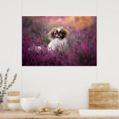 Kutest Baby Animals | Pekingese Puppy Poster (Keuken)