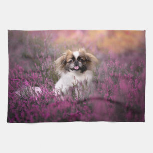 Kutest Baby Animals Pekingese Puppy Theedoek