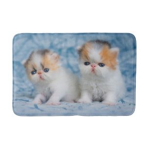 Kutest Baby Animals   Perzisch Calico Kitten Badmat