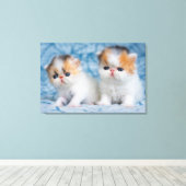 Kutest Baby Animals | Perzisch Calico Kitten Canvas Afdruk (Insitu (Houten vloer))