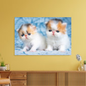 Kutest Baby Animals | Perzisch Calico Kitten Canvas Afdruk (Insitu (Woonkamer))