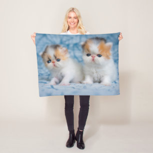 Kutest Baby Animals   Perzisch Calico Kitten Fleece Deken